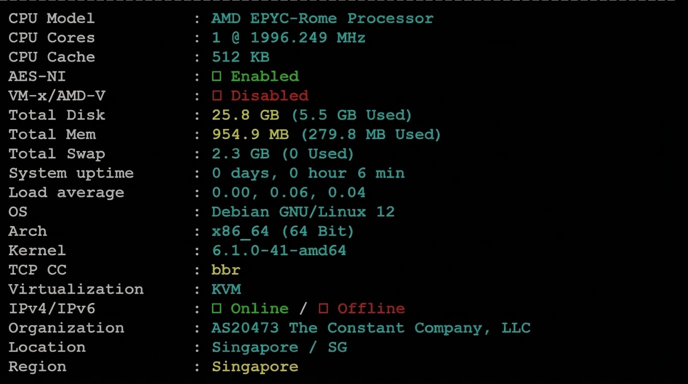 Vultr新加坡VPS测评:联通直连表现优秀,电信移动线路绕路明显