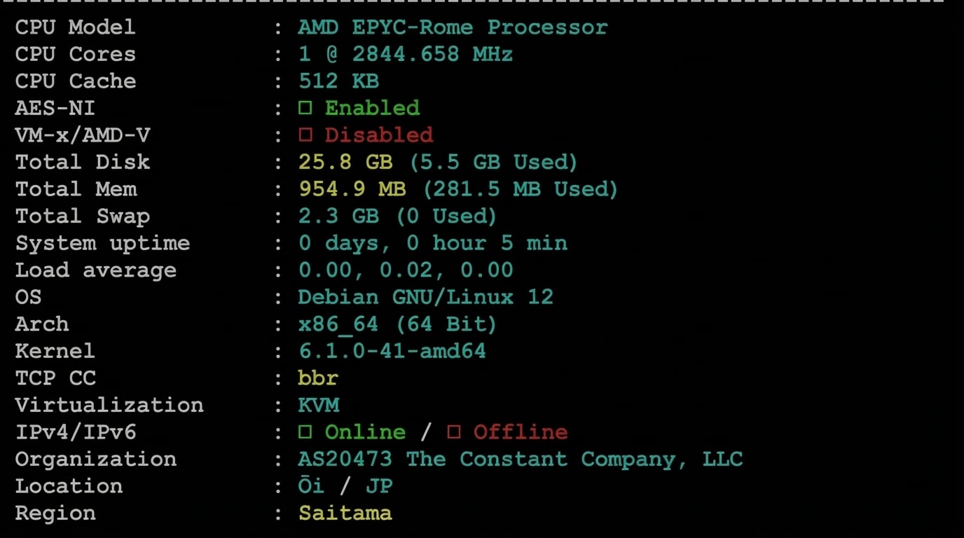 Vultr日本东京VPS深度测评 - 硬件性能强悍但三网绕美延迟偏高