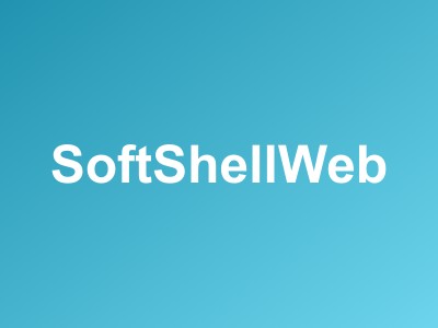 SoftShellWeb冬季特惠：美国/荷兰/中国台湾VPS年付$12.95起，10Gbps大带宽