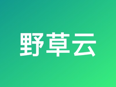 野草云香港独立服务器199元/月起 - 精品BGP线路+免费DDoS防护