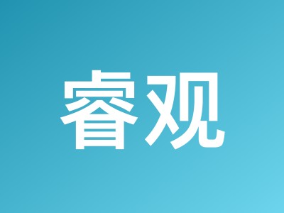 睿观版权检测功能全解析 - 跨境电商版权侵权风险查询使用指南