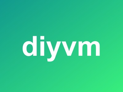 DiyVM美国/中国香港VPS月付50元起 - CN2线路不限流量