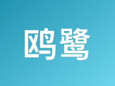 鸥鹭工具使用详解:全面掌握跨境电商亚马逊运营核心后台功能