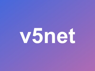 V5.NET香港独立服务器618特惠 - 精品网/优化线路低至268元/月