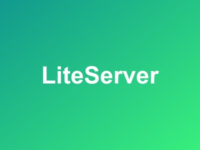 LiteServer荷兰VPS测评：AMD EPYC大硬盘VPS年付30欧元起-10Gbps大带宽