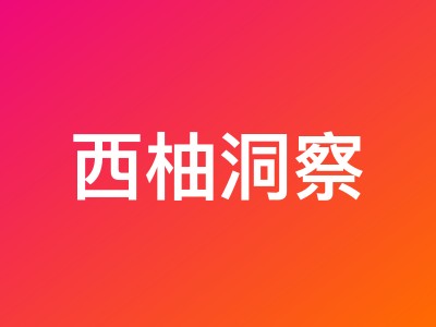 西柚洞察MCP公测福利 - 免费领取20000点额度/月,VIP用户享更高权益