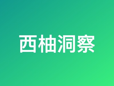 西柚洞察AI提效节:VIP低至53折,续费赠2周VIP,新购赠3个月MCP额度
